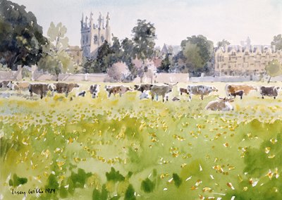 Looking Across Christ Church Meadows, 1989 by Lucy Willis